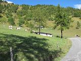 Colle delle Finestre e Assietta - 015